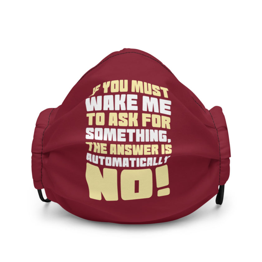 If you must wake me to ask for something the answer is automatically no!  Premium face mask - Image 2
