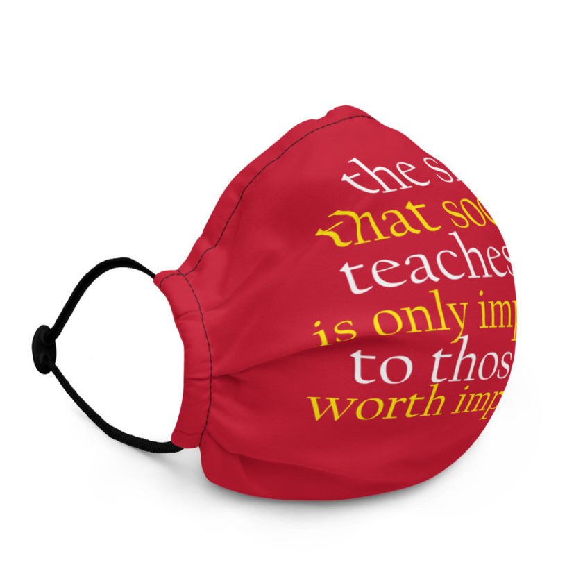 The shit that society teaches you  only impressive to those not worth impressing.  Premium face mask - Image 3