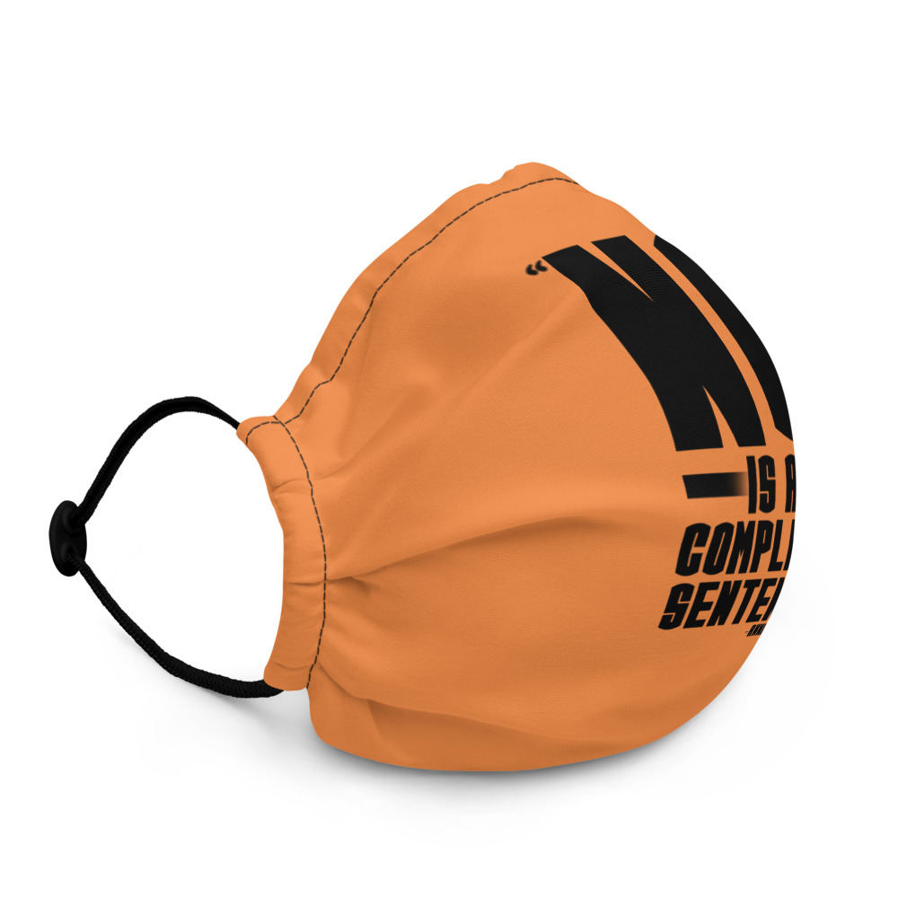 No is a complete sentence - Annie Lamott Premium face mask - Image 3