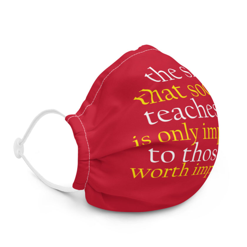 The shit that society teaches you  only impressive to those not worth impressing.  Premium face mask - Image 5