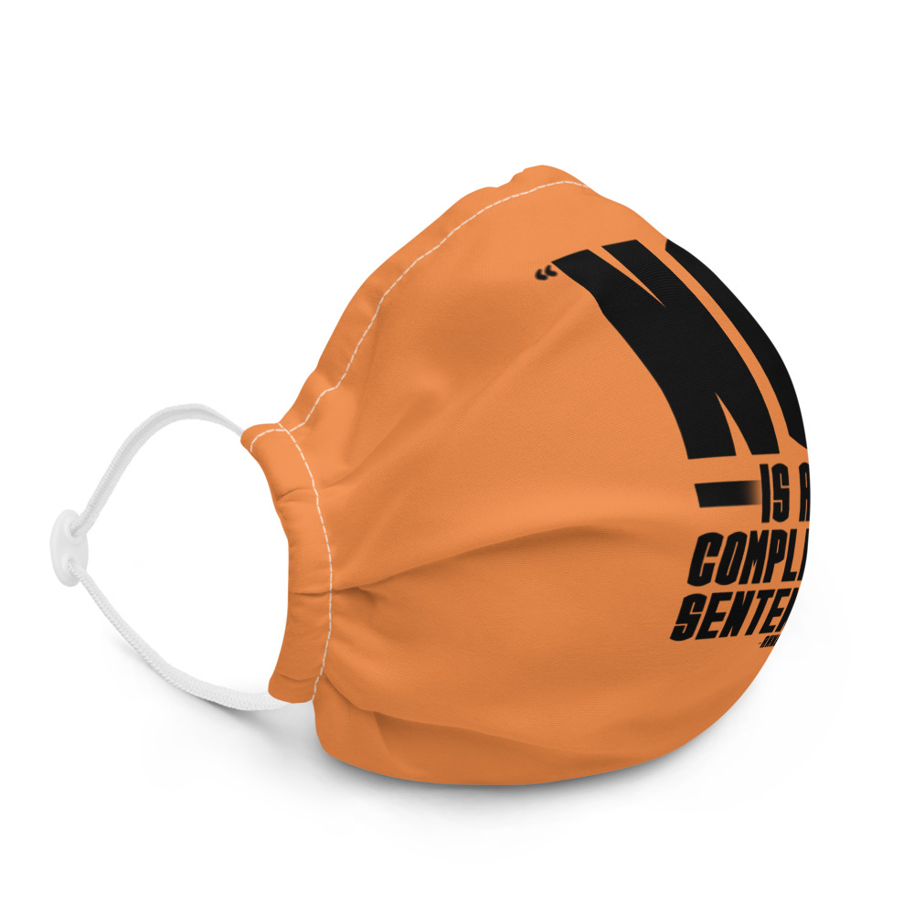 No is a complete sentence - Annie Lamott Premium face mask - Image 5