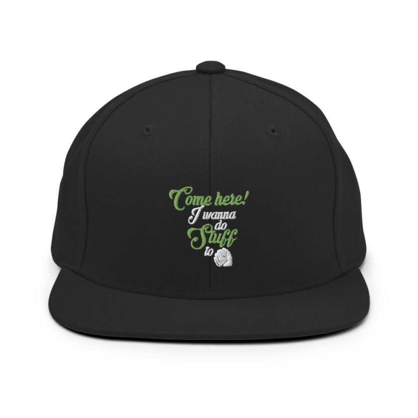 Come here! I wanna do stuff to you! Snapback Hat