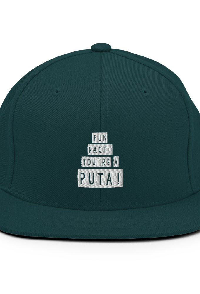 Fun fact, you're a puta!  Snapback Hat