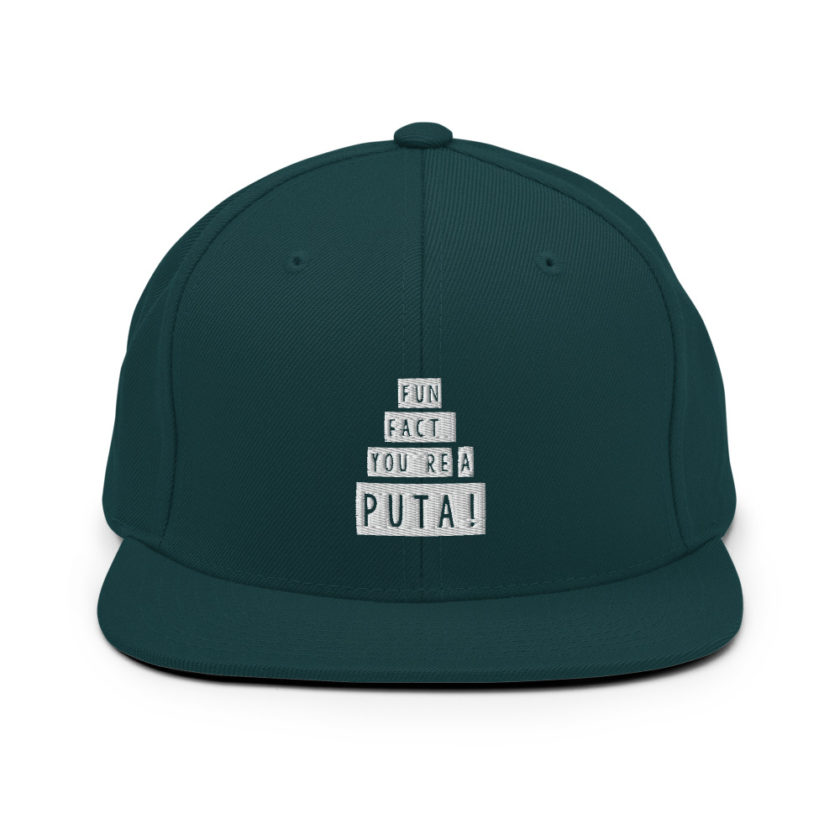 Fun fact, you're a puta!  Snapback Hat
