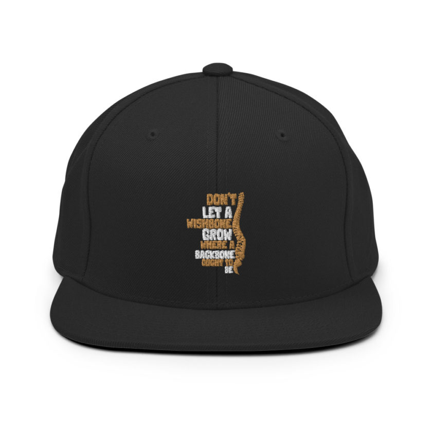 Don't let a wishbone grow where a backbone should be. Snapback Hat - Image 3
