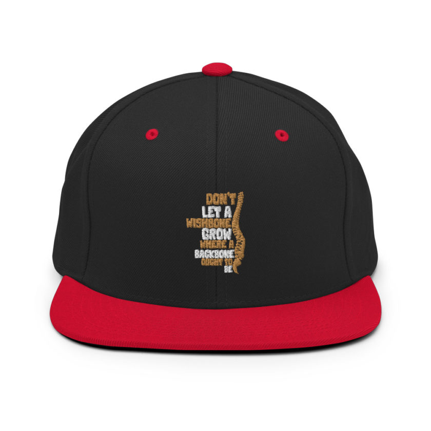 Don't let a wishbone grow where a backbone should be. Snapback Hat - Image 4
