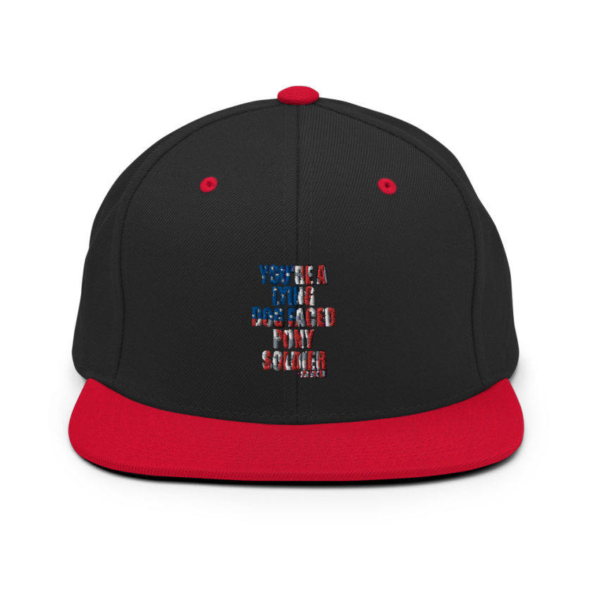 You're a lying, dog faced pony soldier. Joe Biden Snapback Hat - Image 4