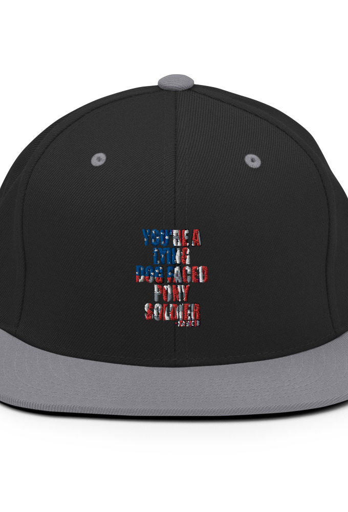 You're a lying, dog faced pony soldier. Joe Biden Snapback Hat