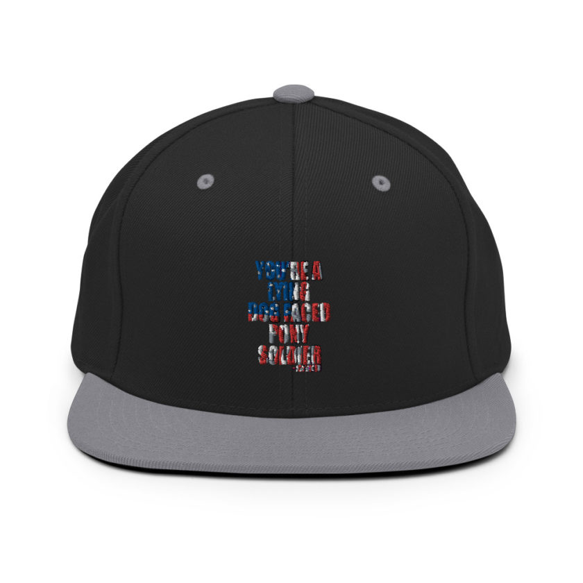 You're a lying, dog faced pony soldier. Joe Biden Snapback Hat