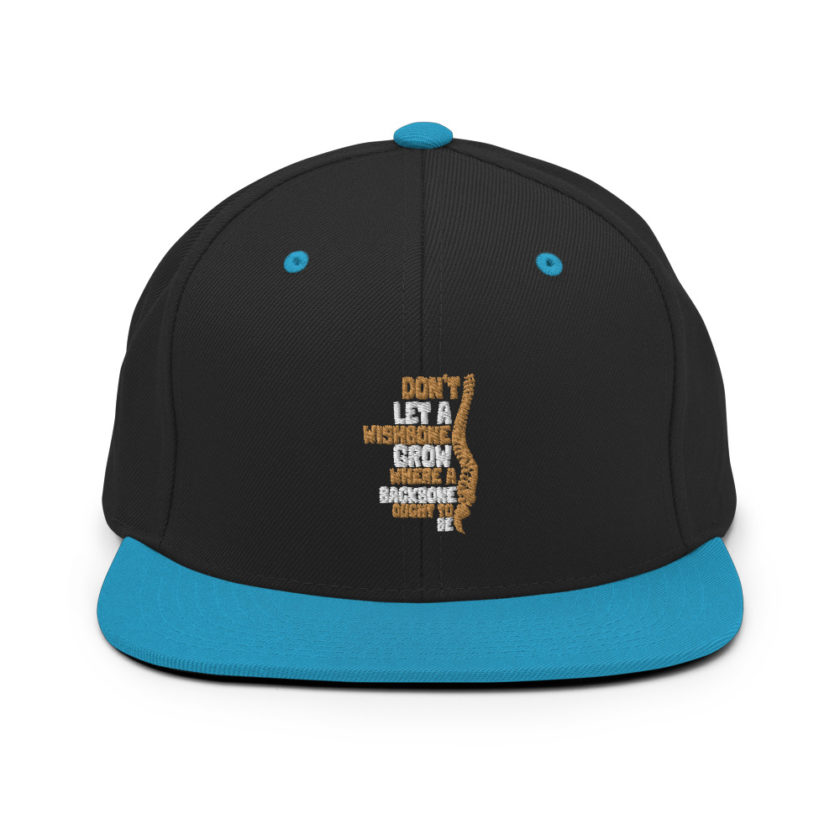 Don't let a wishbone grow where a backbone should be. Snapback Hat - Image 6