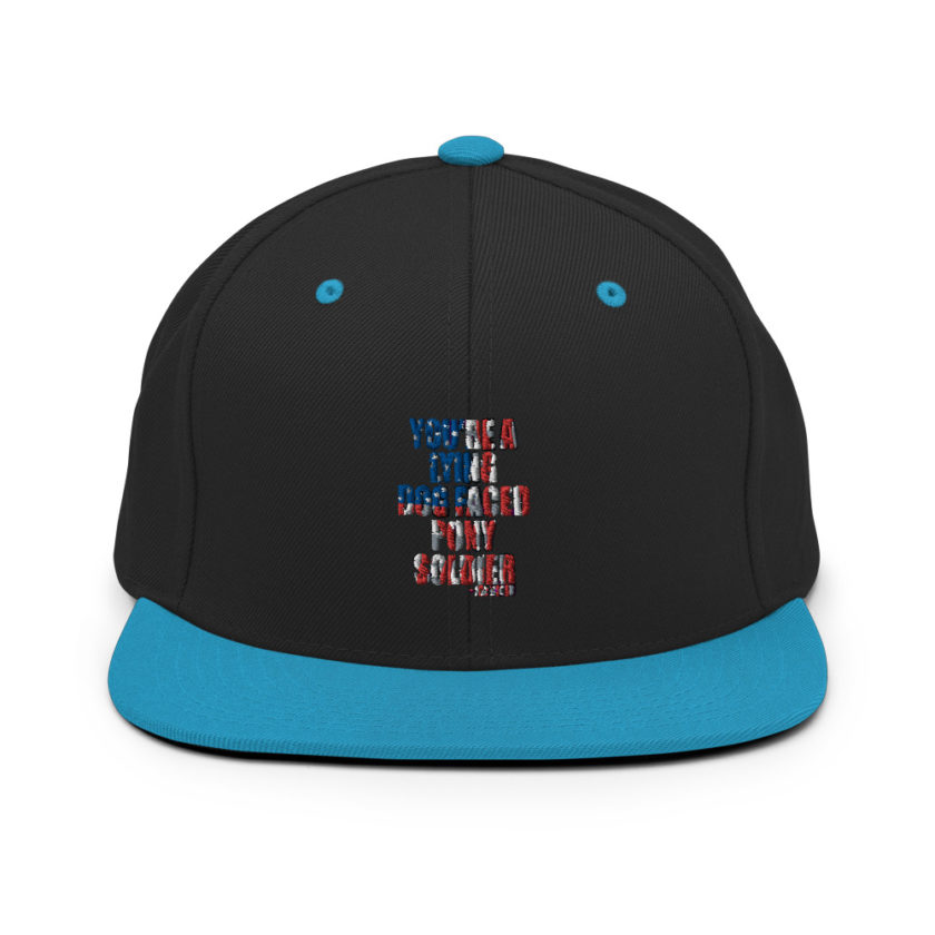 You're a lying, dog faced pony soldier. Joe Biden Snapback Hat - Image 6