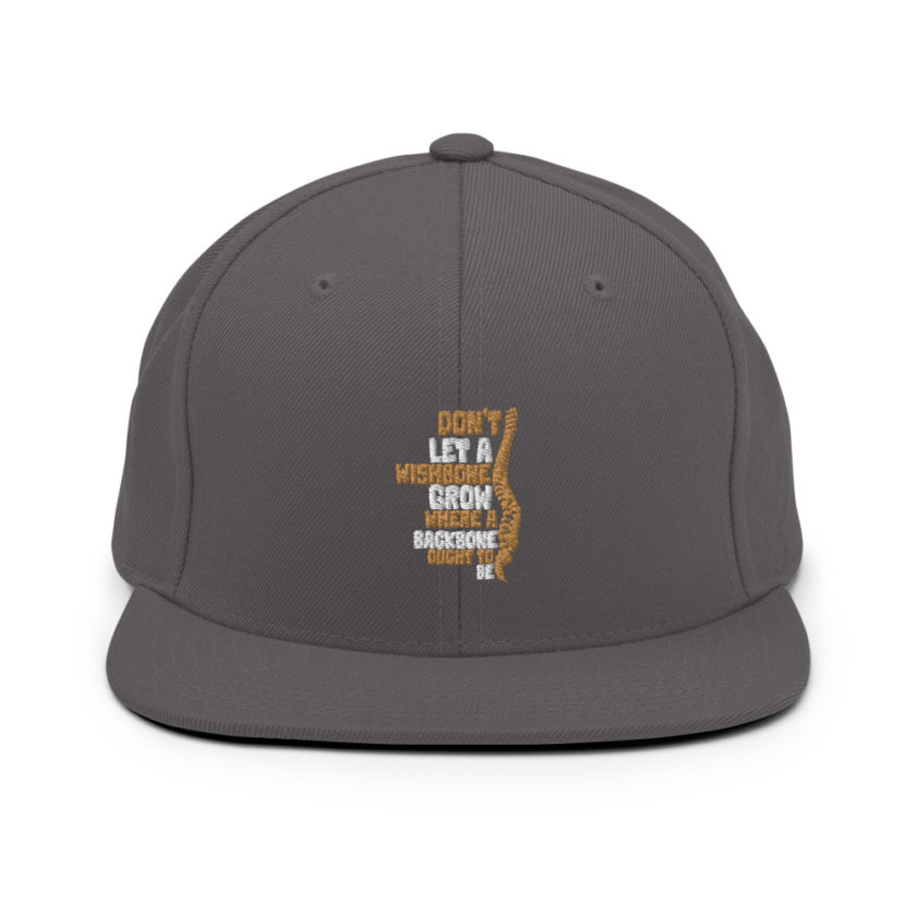 Don't let a wishbone grow where a backbone should be. Snapback Hat - Image 14