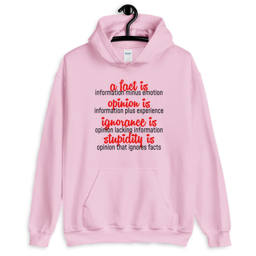A fact is information minus emotion, opinion is information plus experience, Ignorance is opinion lacking information, stupidity is an opinion that ignores facts. Unisex Hoodie - Image 5