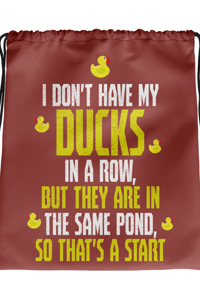 I don't have my ducks in a row, but they are in the same pond, so that's a start.  Drawstring bag
