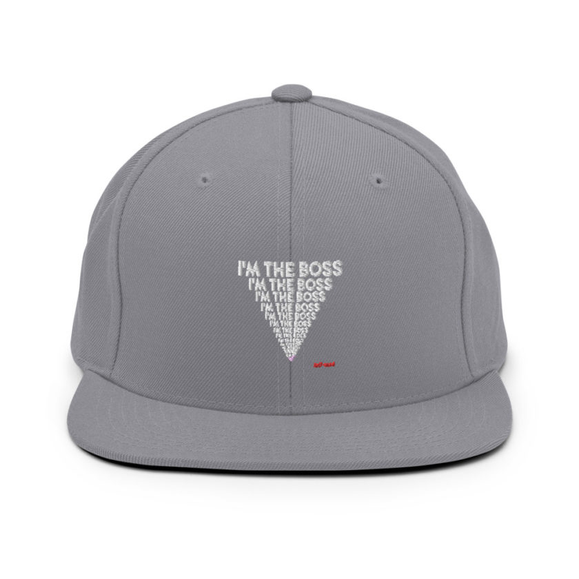 I'm the boss, I'm the boss I'm the boss... Ant-Man Snapback Hat