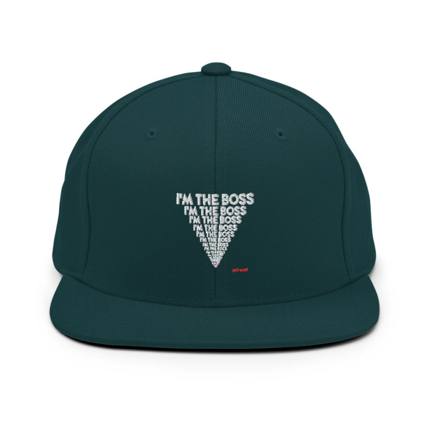 I'm the boss, I'm the boss I'm the boss... Ant-Man Snapback Hat - Image 12