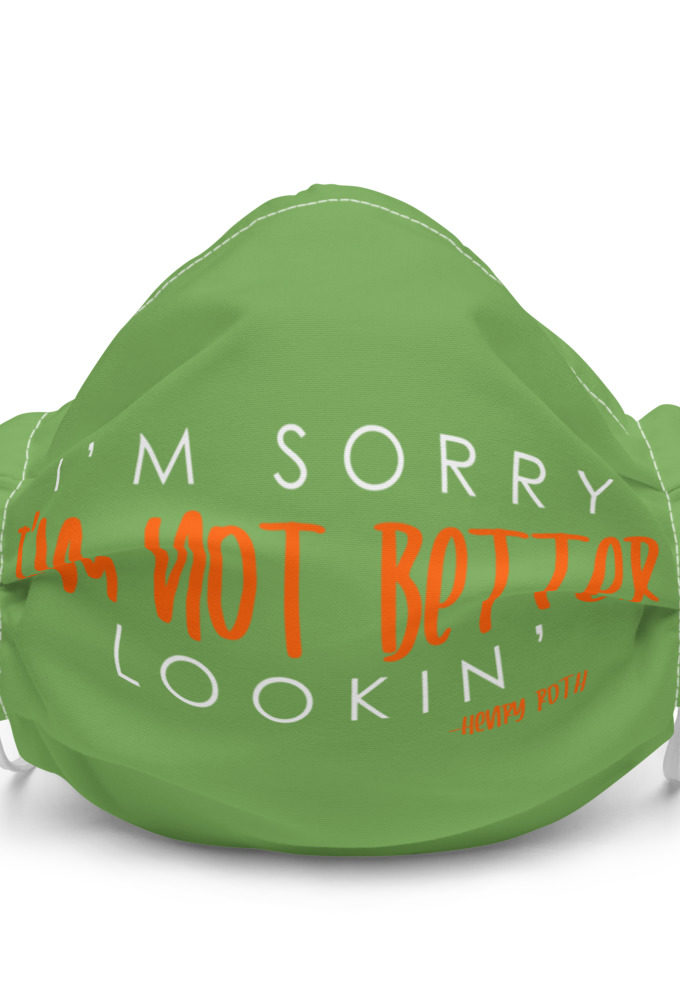 I'm sorry I'm not better lookin Premium face mask