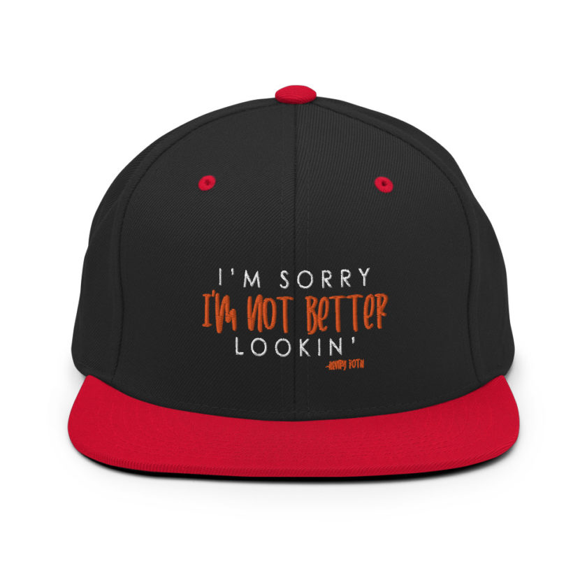 I'm sorry I'm not better lookin Snapback Hat - Image 4