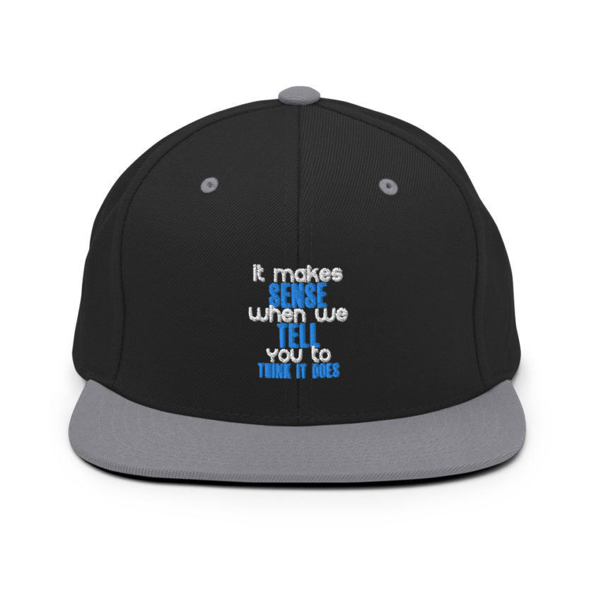 It makes sense when we tell you to think it does Snapback Hat - Image 6