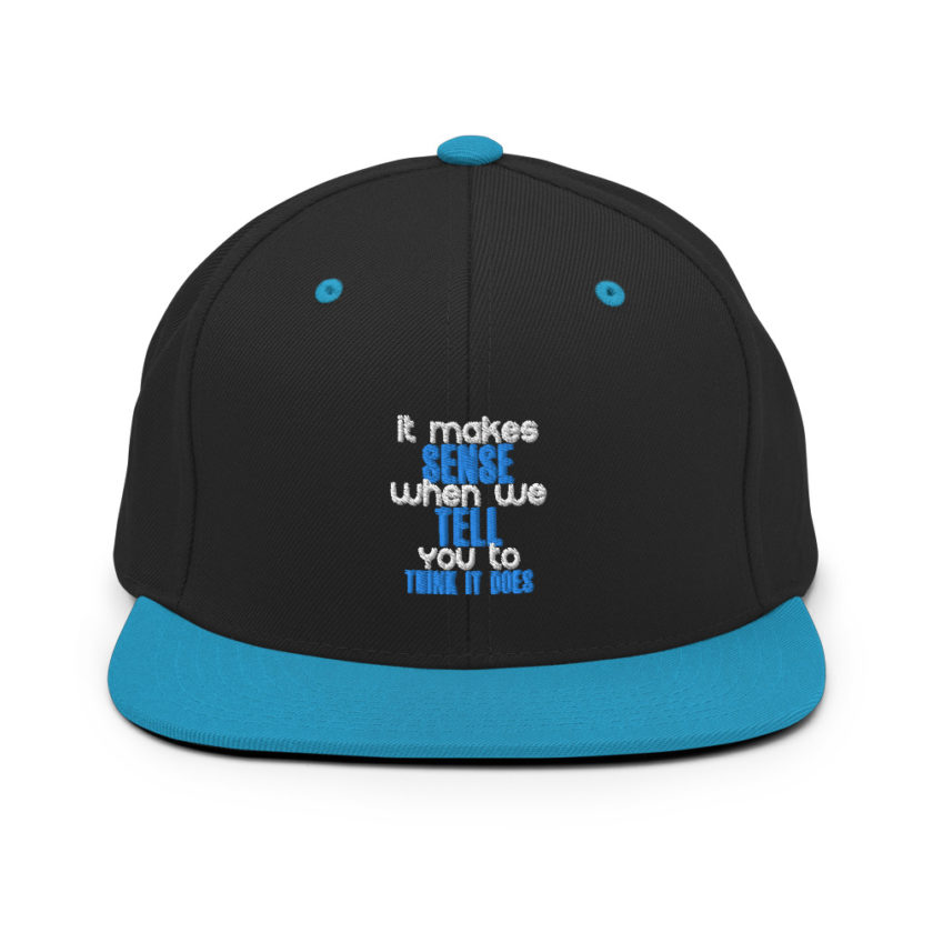 It makes sense when we tell you to think it does Snapback Hat - Image 5