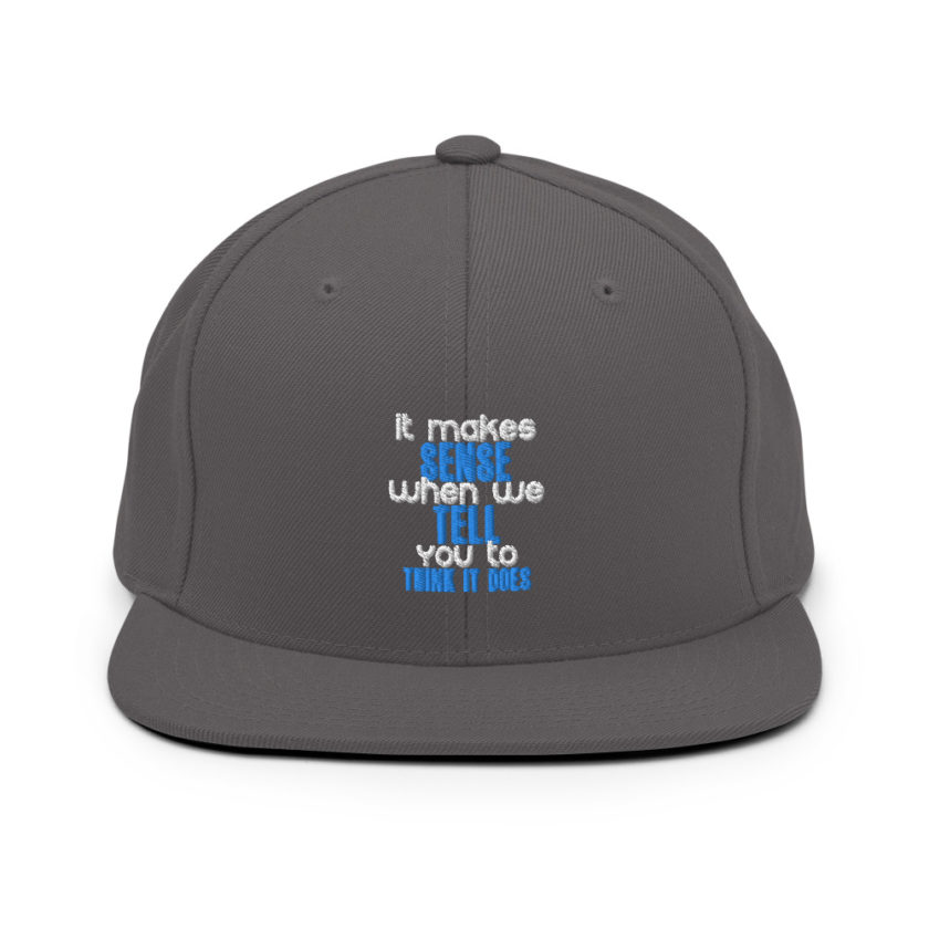 It makes sense when we tell you to think it does Snapback Hat - Image 14