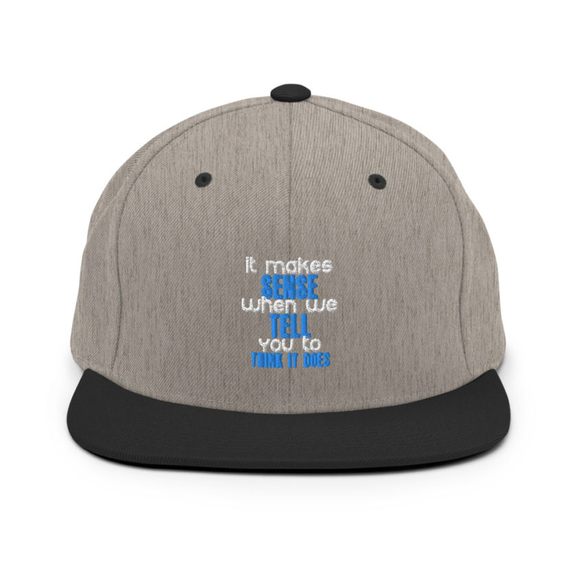 It makes sense when we tell you to think it does Snapback Hat - Image 16