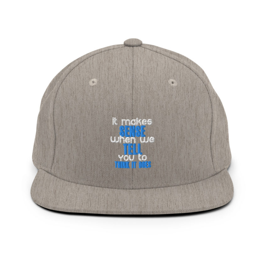 It makes sense when we tell you to think it does Snapback Hat - Image 18
