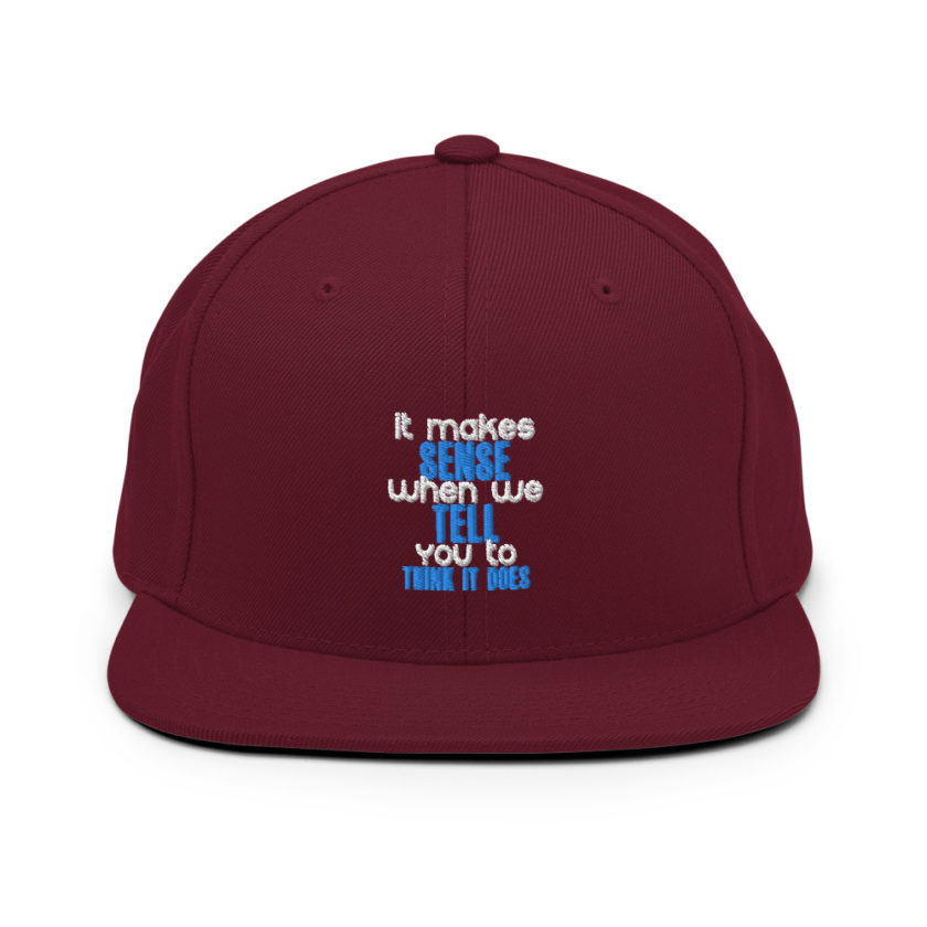 It makes sense when we tell you to think it does Snapback Hat - Image 7