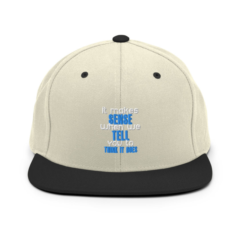 It makes sense when we tell you to think it does Snapback Hat - Image 19