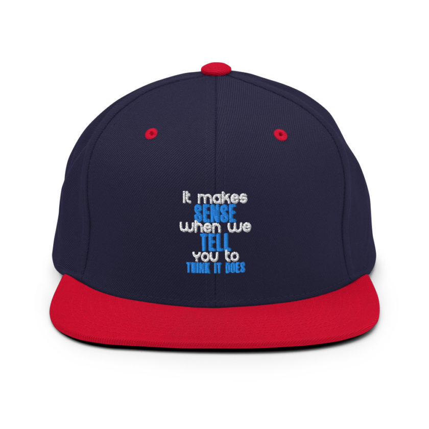 It makes sense when we tell you to think it does Snapback Hat - Image 10