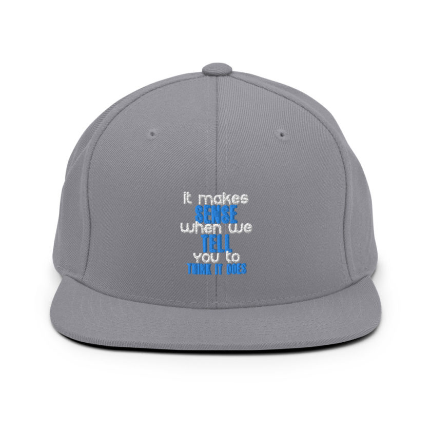 It makes sense when we tell you to think it does Snapback Hat - Image 15