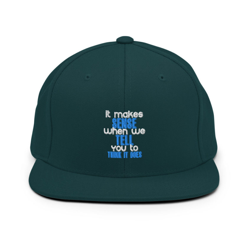 It makes sense when we tell you to think it does Snapback Hat - Image 11