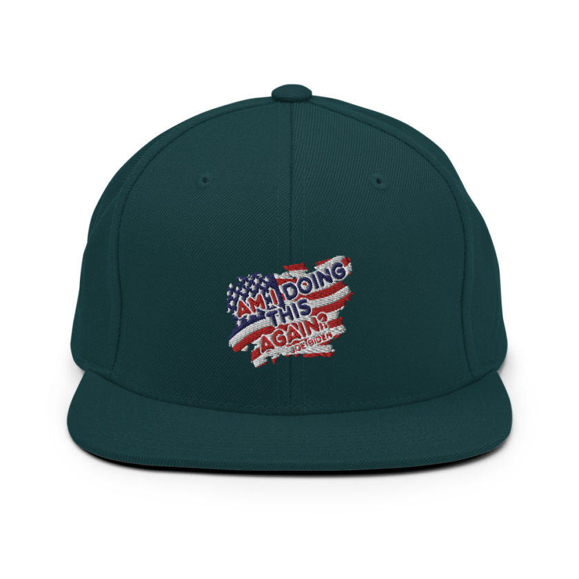 Am I Doing This Again? Joe Biden  Snapback Hat - Image 12