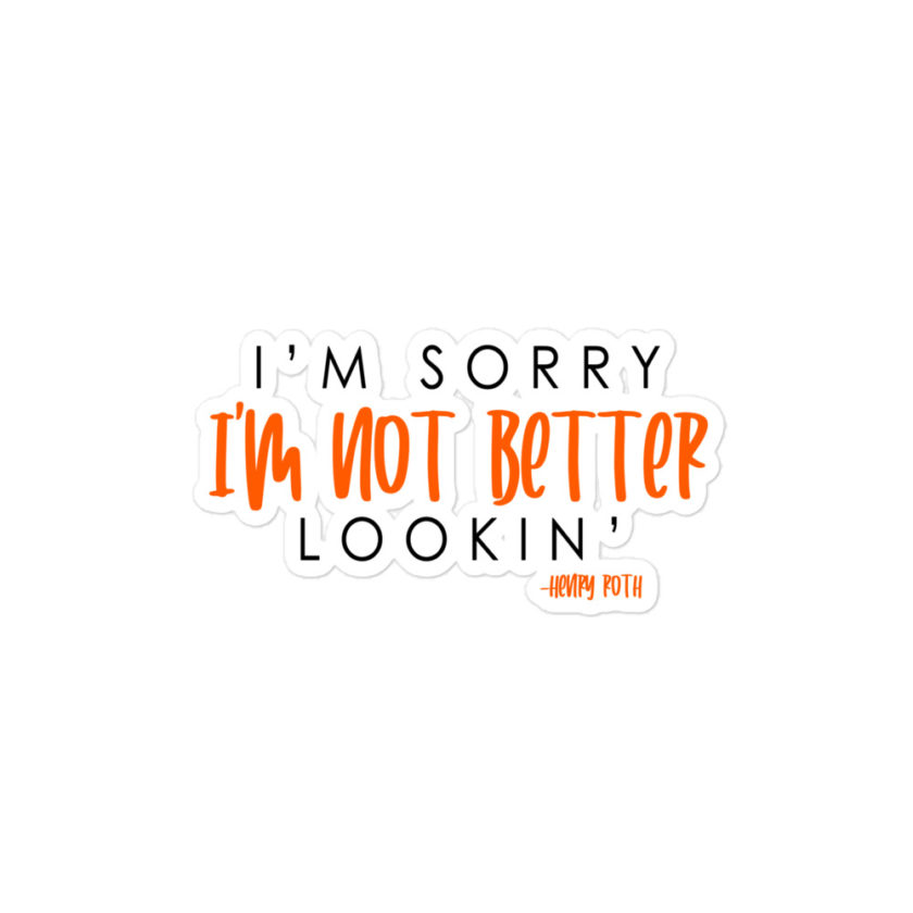 I'm sorry I'm not better lookin  Bubble-free stickers