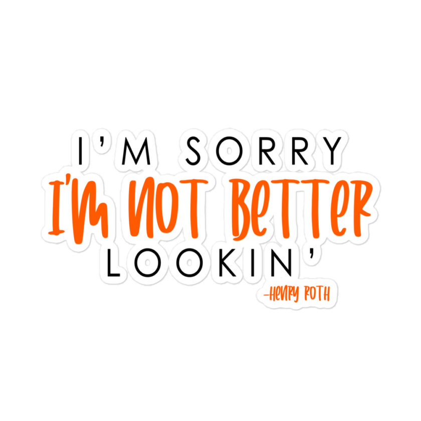 I'm sorry I'm not better lookin  Bubble-free stickers - Image 3