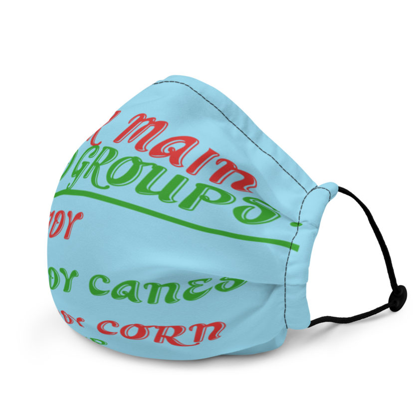 Four main food groups: candy, candy canes, candy corn, syrup -Elf Premium face mask - Image 3