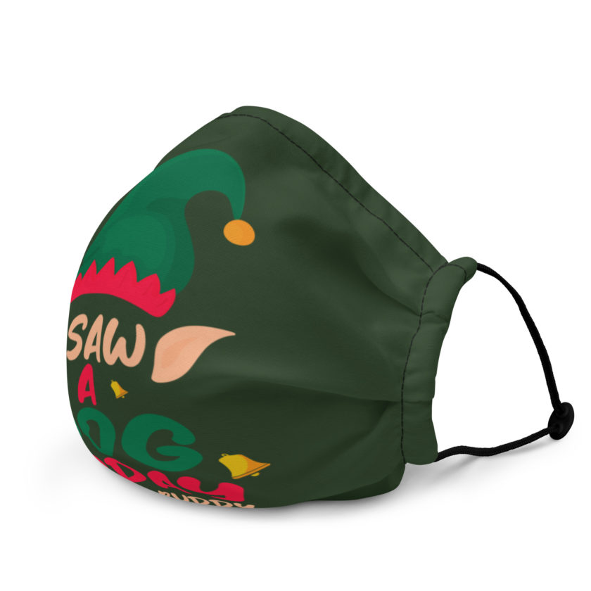I saw a dog today! -Buddy the Elf, Elf Premium face mask - Image 3