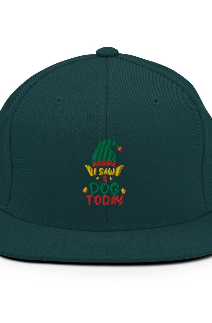 I saw a dog today! -Buddy the Elf, Elf Snapback Hat