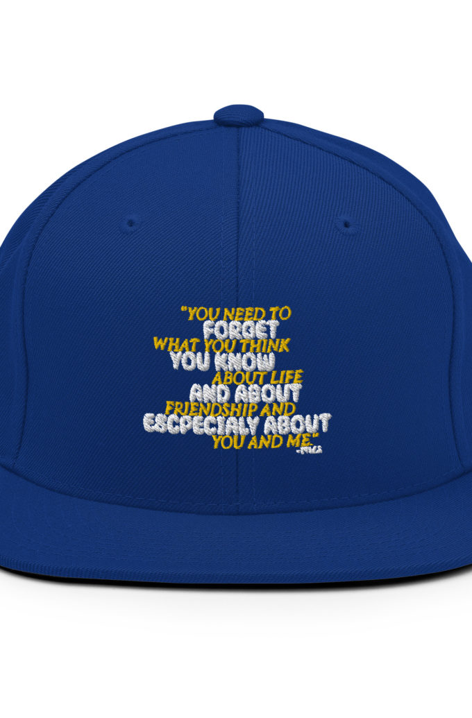 You need to forget what you think you know about life and about friendship and especially about you and me. -Tyler Durden, Fight Club Snapback Hat