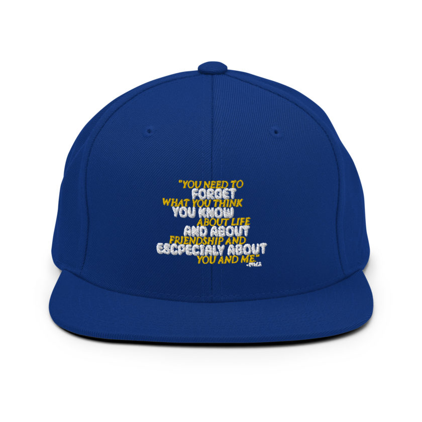 You need to forget what you think you know about life and about friendship and especially about you and me. -Tyler Durden, Fight Club Snapback Hat