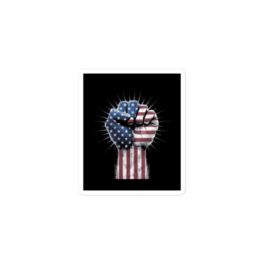DT 2024 - Donald Trump for President Bubble-free stickers - Image 2